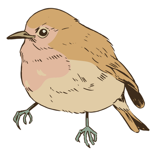 Detaillierter Vogelcharakter PNG-Design