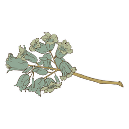 Vintage blauer Blumenstrauß PNG-Design