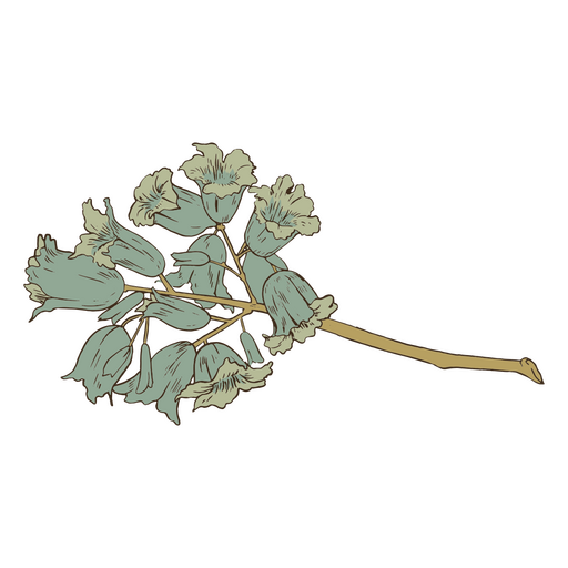 Ramo de flores azules de la vendimia Diseño PNG