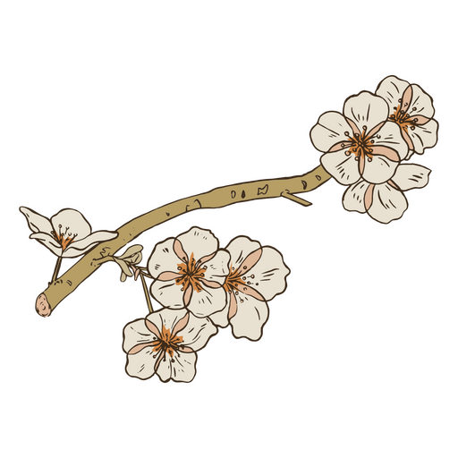 Ramo de flores de cerejeira Desenho PNG