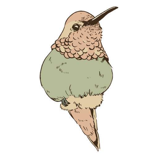 Duotone de pássaro detalhado Desenho PNG