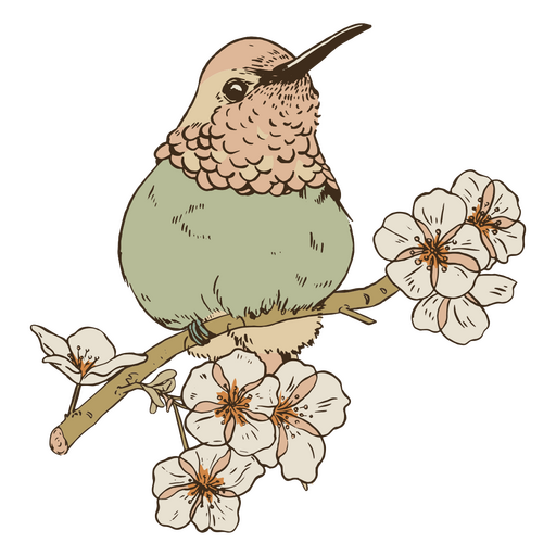 flores y aves vintage Diseño PNG