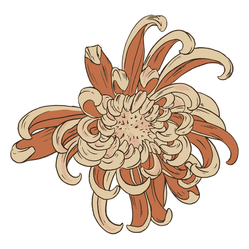 Monochromatic chrysanthemum PNG Design