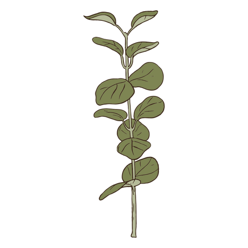 Caule com traçado de cor de folhas verdes Desenho PNG