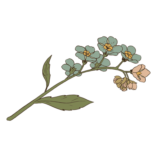 Vintage blaue und rosa Blumen PNG-Design
