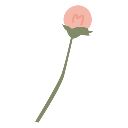 Blume flach rosa Frühling PNG-Design