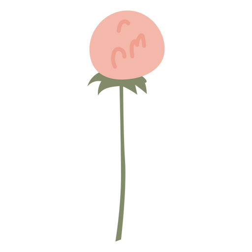 Pink dandelion