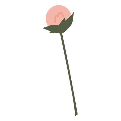 flor de dente de leão rosa Desenho PNG