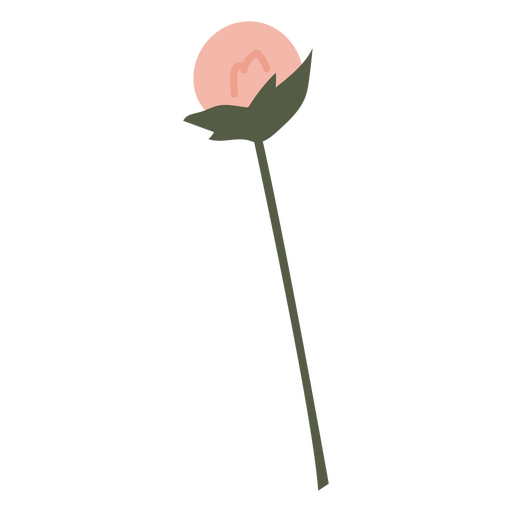 Pink dandelion flower