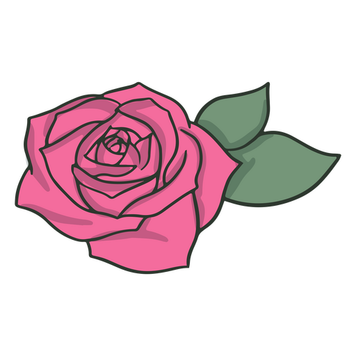 Pink rose color stroke PNG Design