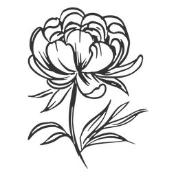 Flor grande dibujada a mano Diseño PNG