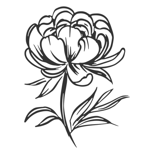 Große Blumenhand gezeichnet PNG-Design