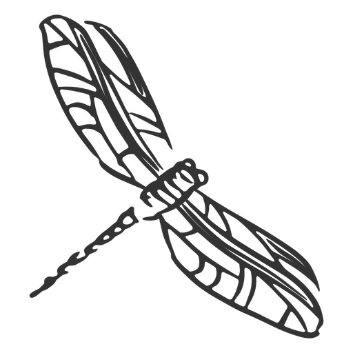 Libelle handgezeichnet PNG-Design