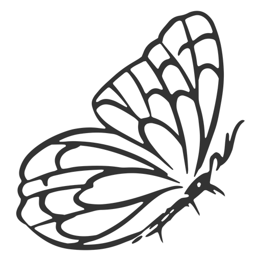 Mariposa dibujada a mano detallada Diseño PNG