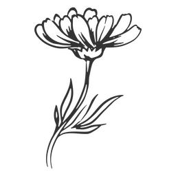 Flor fofa desenhada à mão Desenho PNG