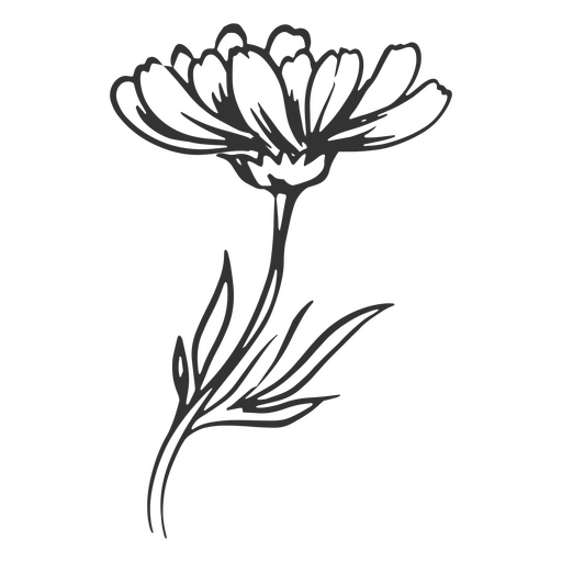 Blume süße Hand gezeichnet PNG-Design