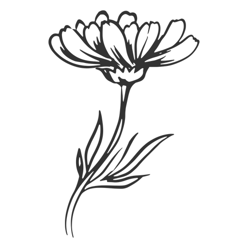 Flor fofa desenhada à mão Desenho PNG