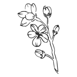 Iris handgezeichnete Blume PNG-Design