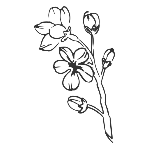 Íris flor desenhada à mão Desenho PNG