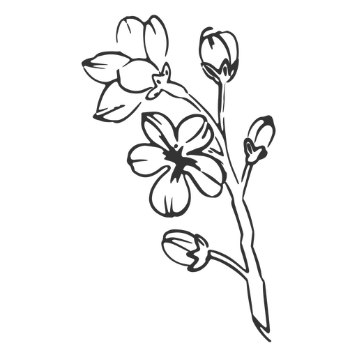 Iris flor dibujada a mano Diseño PNG