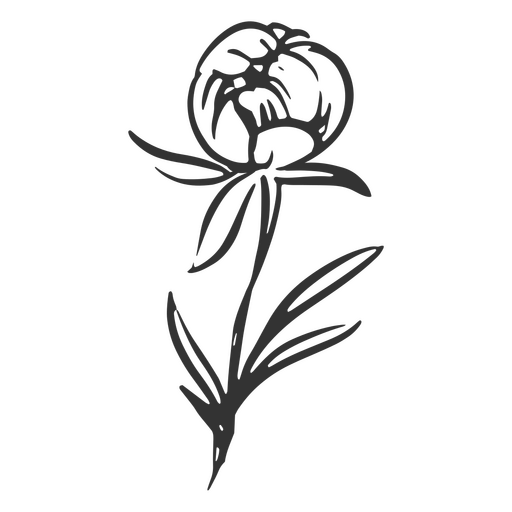 Bud hand drawn flowers PNG Design