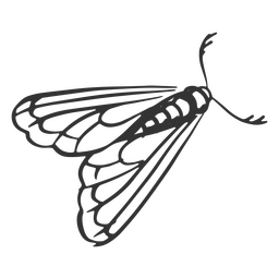 Motte handgezeichnet detailliert PNG-Design