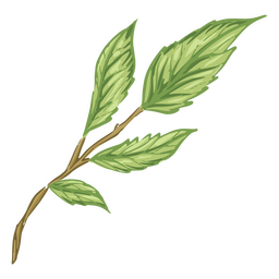 Green leaves illustration detailed PNG Design Transparent PNG