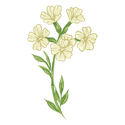 Flores brancas realistas Desenho PNG