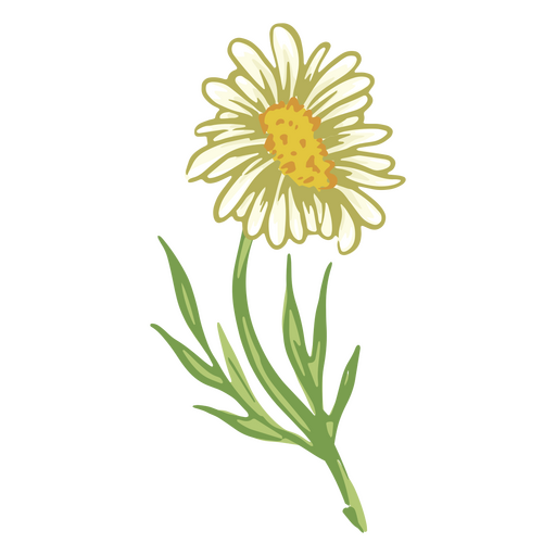 Flor de margarida branca realista Desenho PNG
