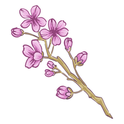 Cherry blossom illustration PNG Design Transparent PNG