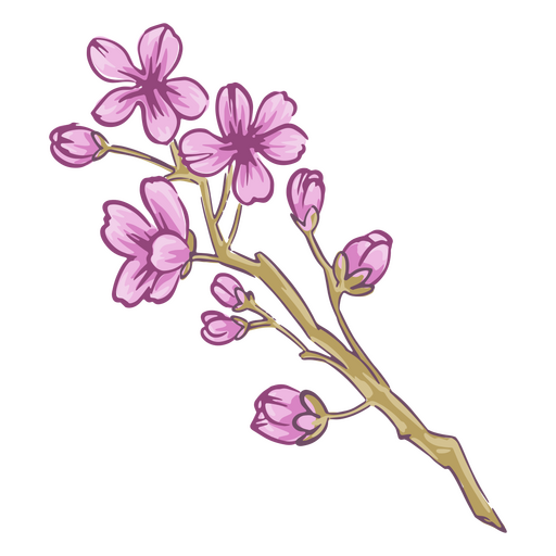 Ilustração de flor de cerejeira Desenho PNG