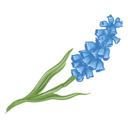 Blue realistic flower PNG Design