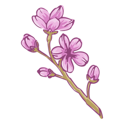 Cherry blossom illustration pink PNG Design