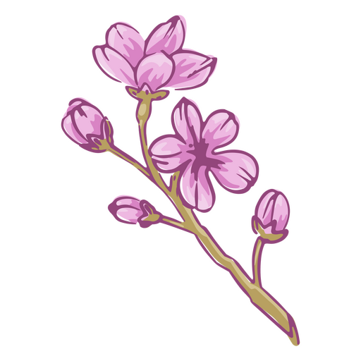 Ilustración de flor de cerezo rosa Diseño PNG