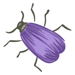 Lila Käfer PNG-Design