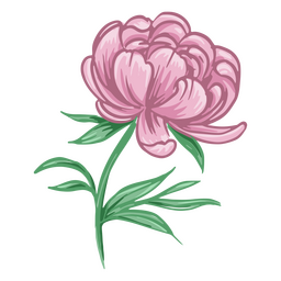 Detailed pink flower PNG Design Transparent PNG