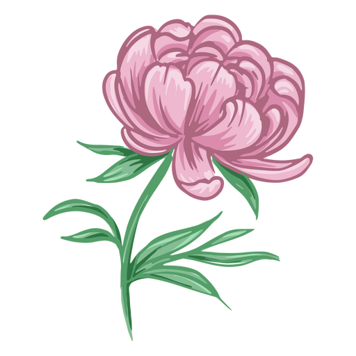 Flor rosa detallada Diseño PNG