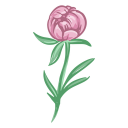 Bud illustration flowers PNG Design Transparent PNG