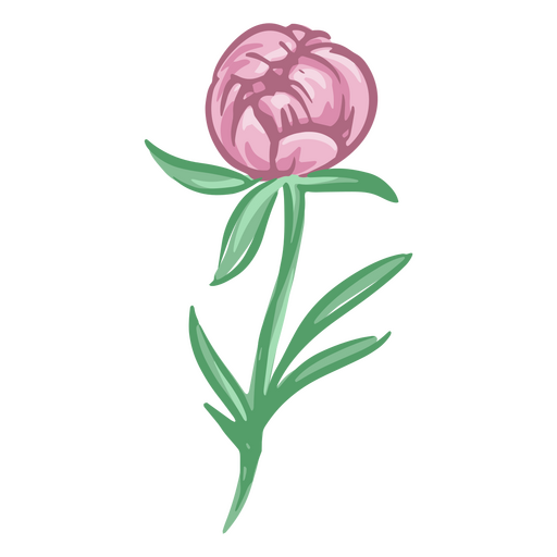 flores de ilustração de botão Desenho PNG