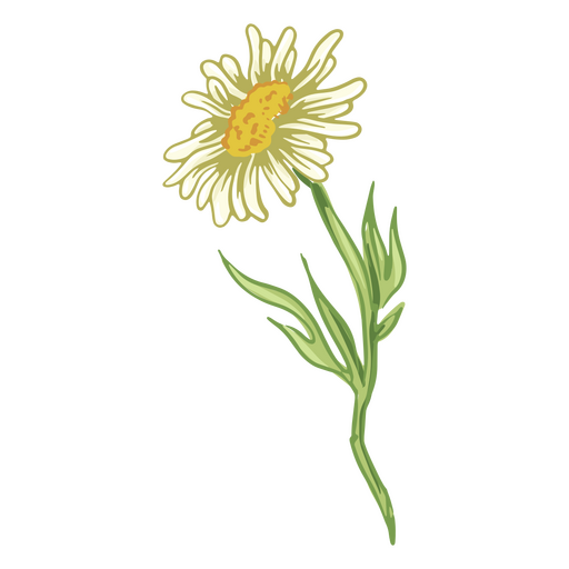 Realistic white flower PNG Design