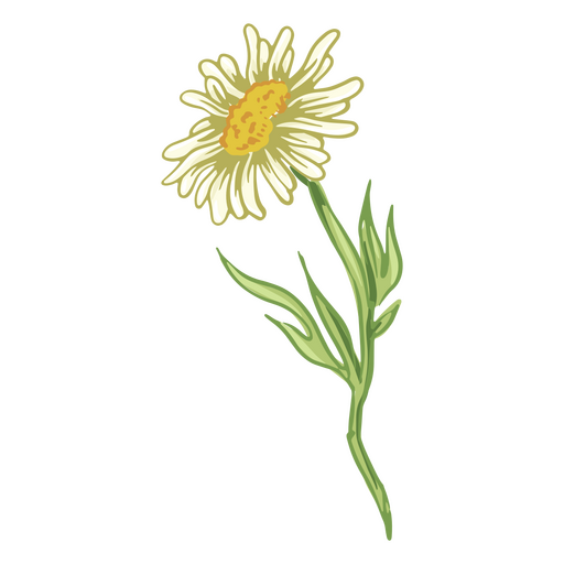 Realistische weiße Blume PNG-Design