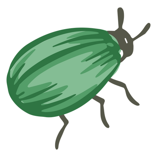 besouro verde Desenho PNG