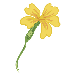 Ilustração de jessamine amarelo Desenho PNG Transparent PNG