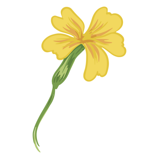 Ilustração de jessamine amarelo Desenho PNG