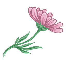 Realistic pink flower PNG Design