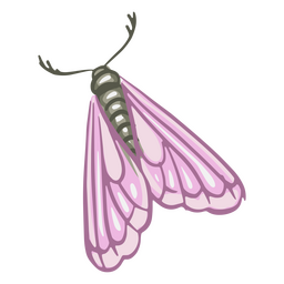 Moth illustration detailed PNG Design