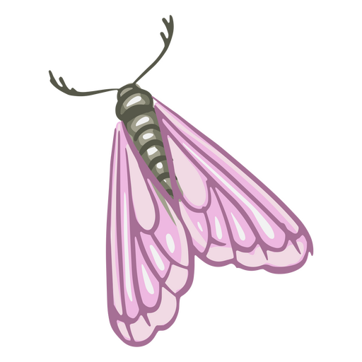 Ilustración de polilla detallada Diseño PNG