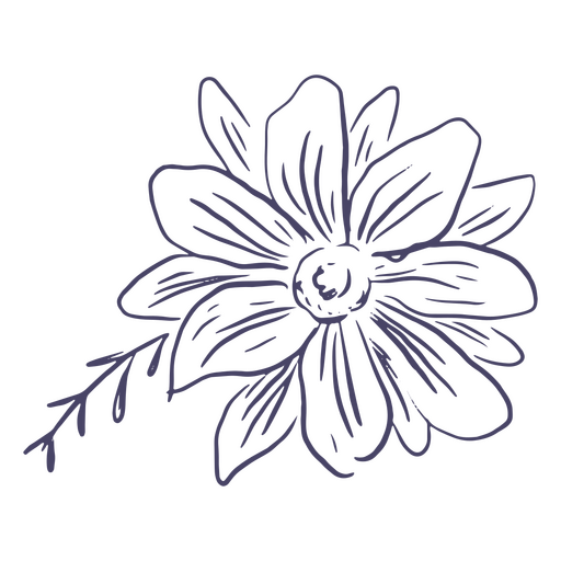 Flor de margarita dibujada a mano Diseño PNG