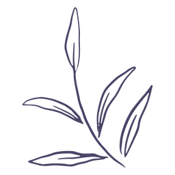 Esboçado deixa o ícone da natureza Desenho PNG