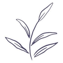 Zarte Pflanze von Hand gezeichnet PNG-Design Transparent PNG